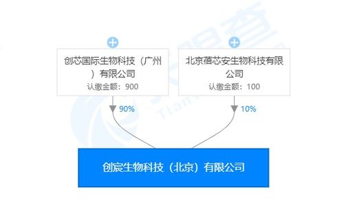 創(chuàng)宸生物獲創(chuàng)芯國際戰(zhàn)略加持，以類器官技術引領個體化醫(yī)療新紀元